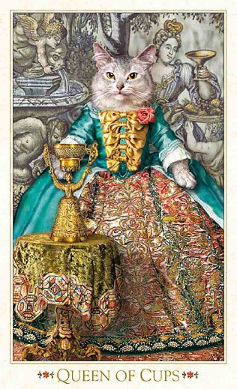 Queen Of Cups Tarot Card Meaning Love Health Money More