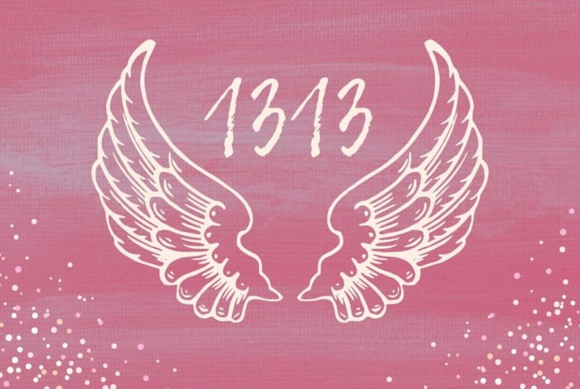 angel number 1313 cover 1