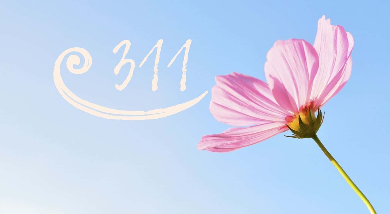 header 5