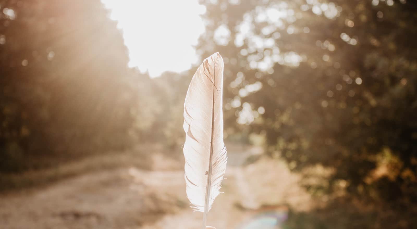 The Spiritual Meaning and Symbolism of Brown and White Feathers
