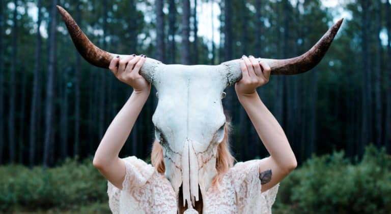 taurus spirit animal guide