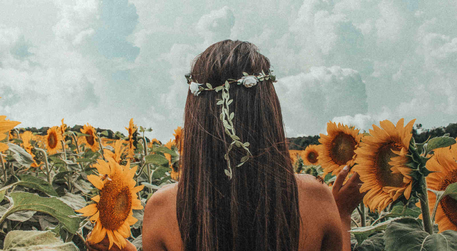 ariel header