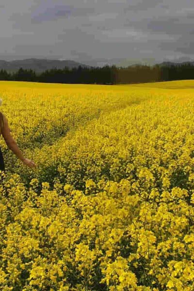 angel number 939 header