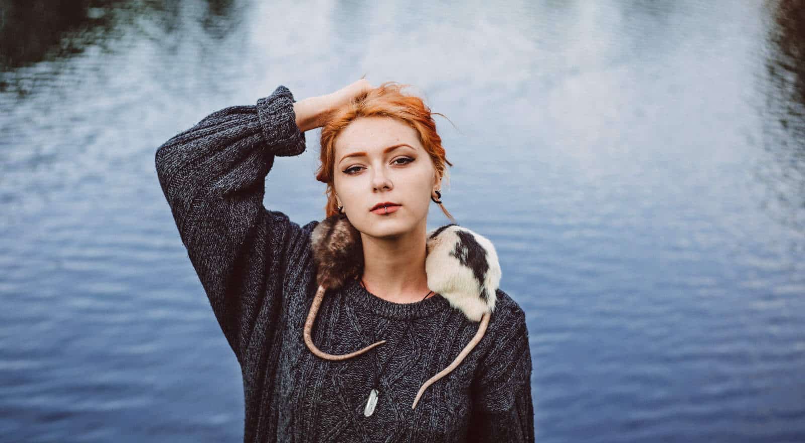 header rats