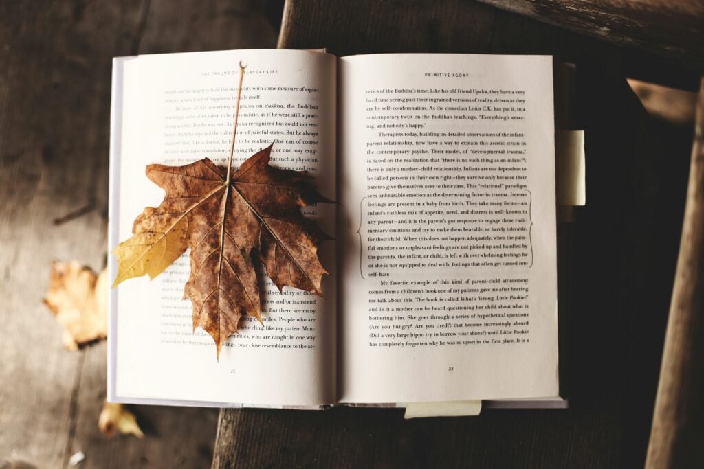 How Women Can Reconnect with Their Inner Strength After Traumatic Events brown maple leaf on open book